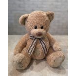 Best friend teddy bear with a bow