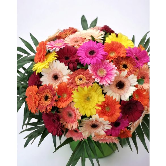 Colorful Gerbera Daisies bouquet - choose your size