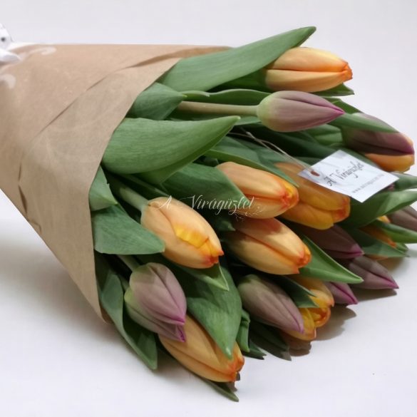 Tulip bouquet