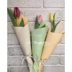 1 tulip in decorative packaging