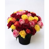 Colorful rose bouquet