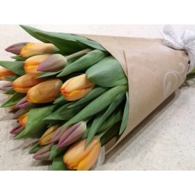 Tulip bouquets